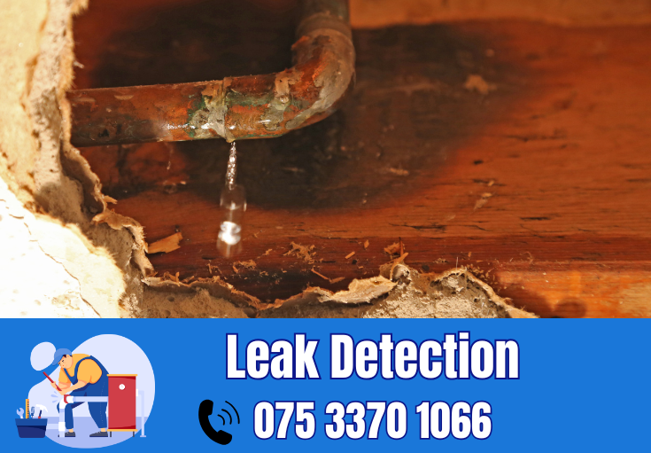 leak detection Folkestone