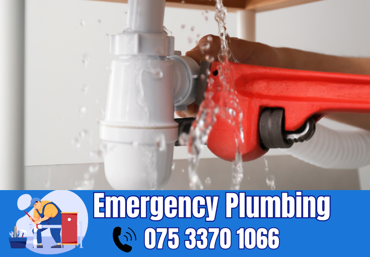  plumber Cheriton