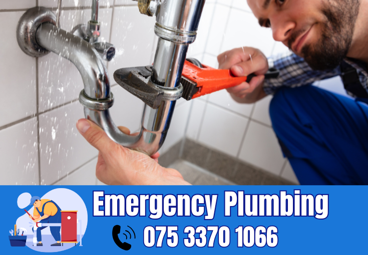  plumber Capel-le-Ferne